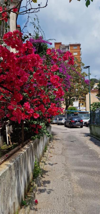 B&B Ciruzzo Nápoly Kültér fotó